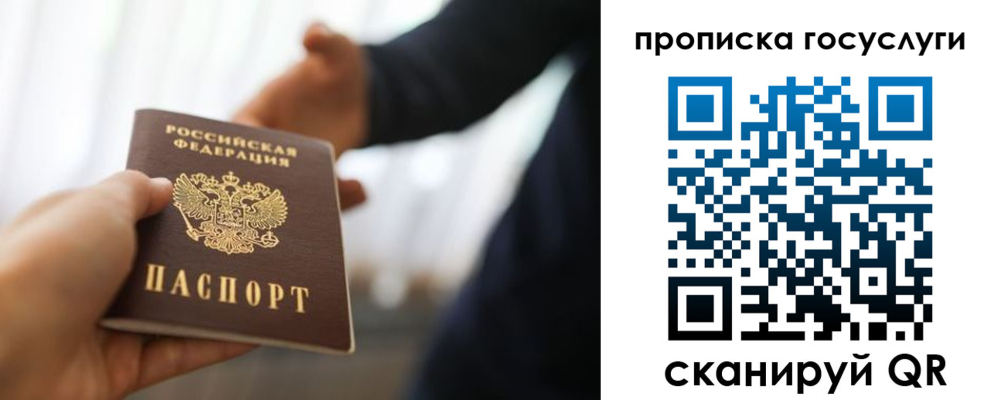 прописка поиск в Саратове